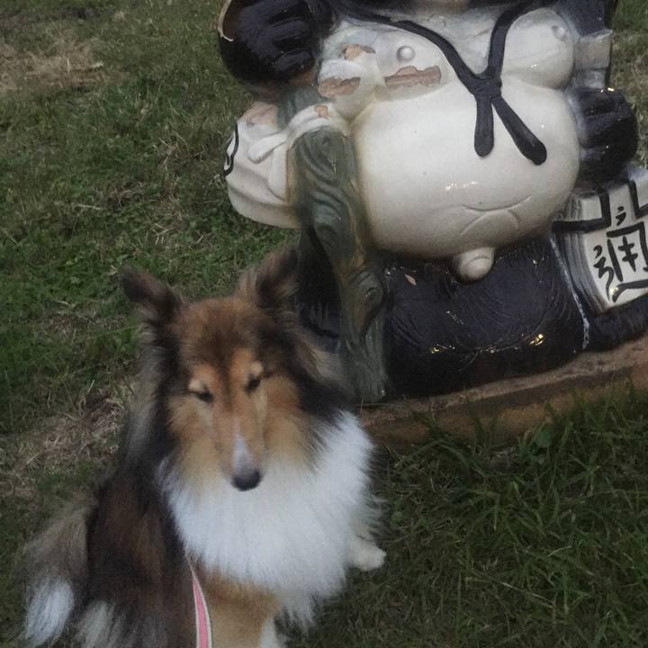 F418baec fd59 454e 8aaf 43abaeef2f5d