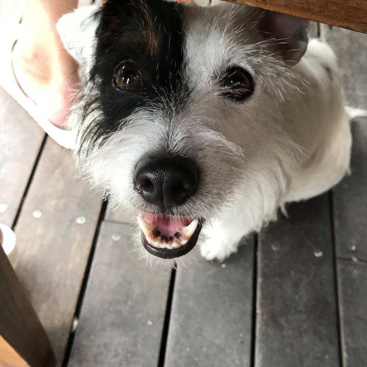 F418edd5 4caa 4265 9085 c6954e48ad34