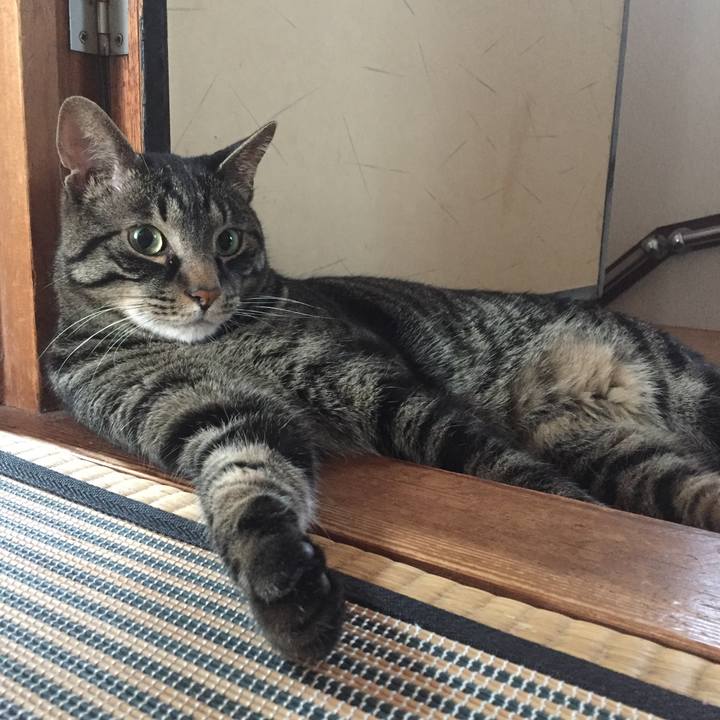 F419189b 13b9 4607 97ee d800d85c7e2e