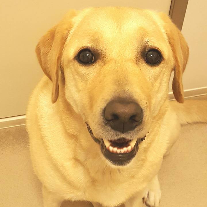 F4192633 7660 495c b1ef 8f6b61c64d6c