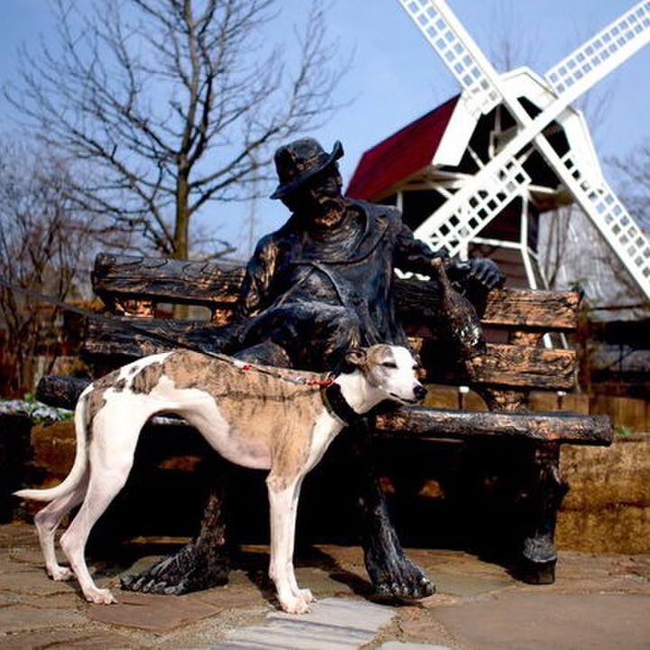 F41b08de 0d44 4786 99df 5b96f980d709