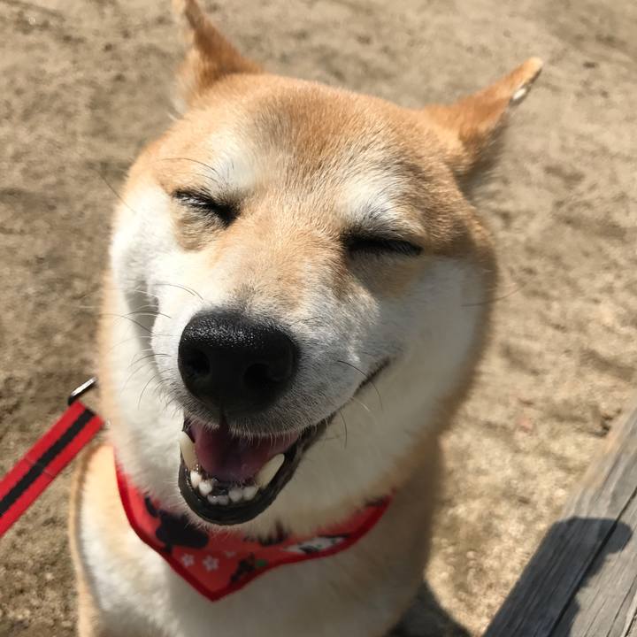 F41b4e88 e1ed 4f30 9059 587913842efa