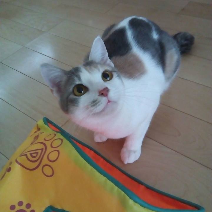 F41b7417 b0b4 4e5d 89a8 d7d155581e8b