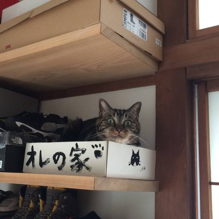 F41d250f bf72 4172 a055 d56087f74951