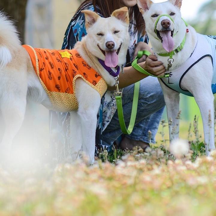 F41dc3ef 0ad5 4758 9ff2 32555e3ca35e