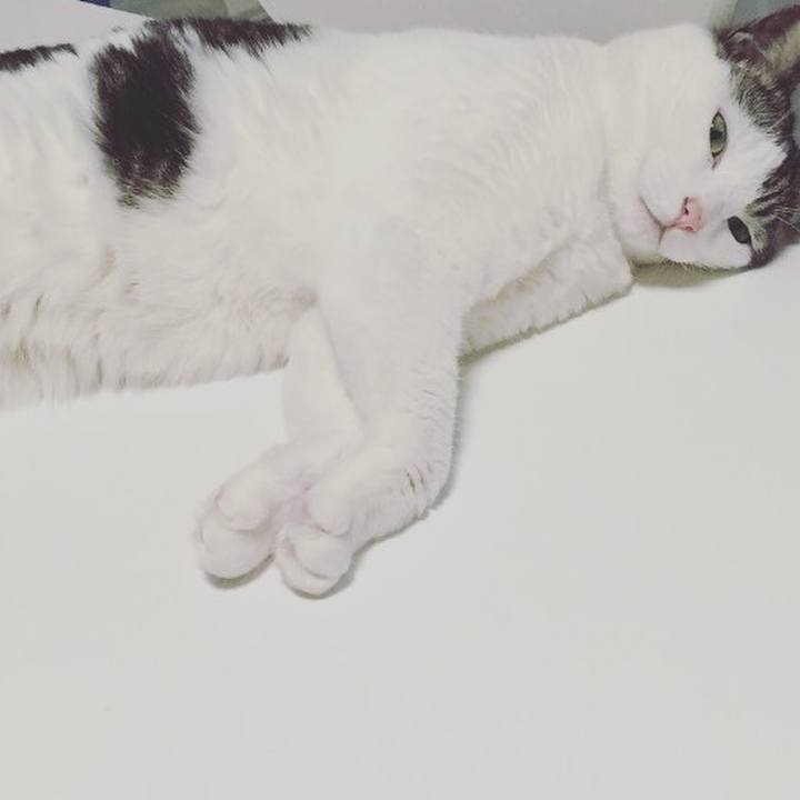 F41de88b c238 47c2 8a42 f618e8bd803e