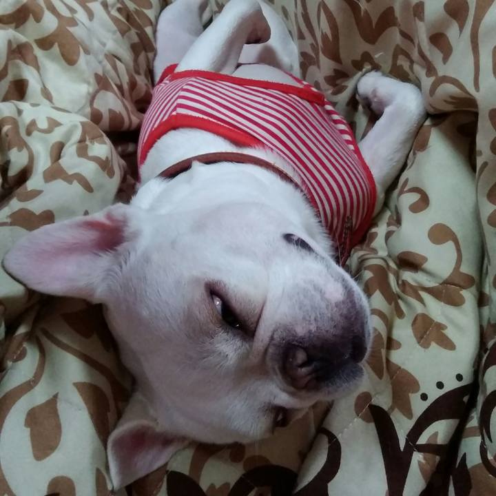 F41e000c b791 40f6 bed5 0cb2fd12bd97