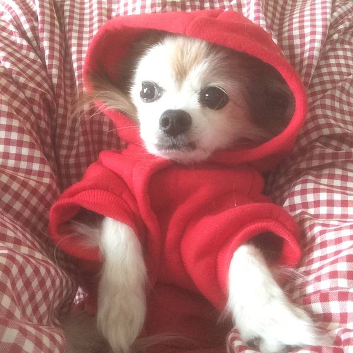 F41e565e 2529 4929 9d1a 628cc96e0e03