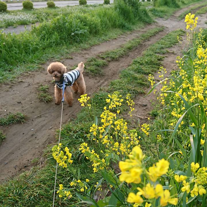 F41eb82d 55aa 4f80 8128 851baad35c63