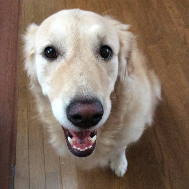 F41f071c 4073 440a 9ad1 a6dce1573544