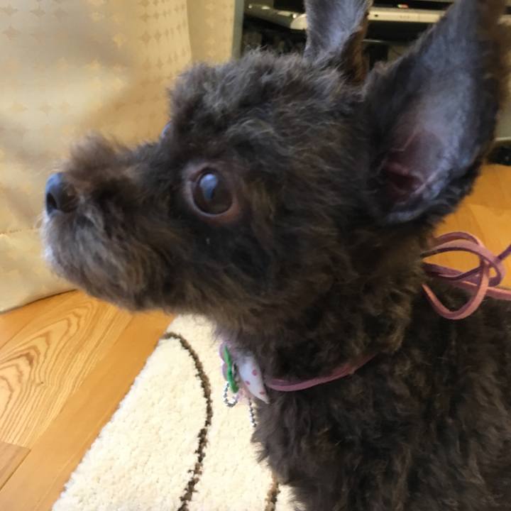 F41f1bf5 72d5 4a47 821f 8aa33ca6baba