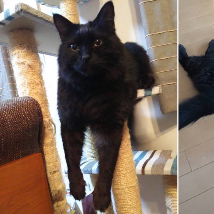 F41f3904 35fc 4415 955b 682af82a893c