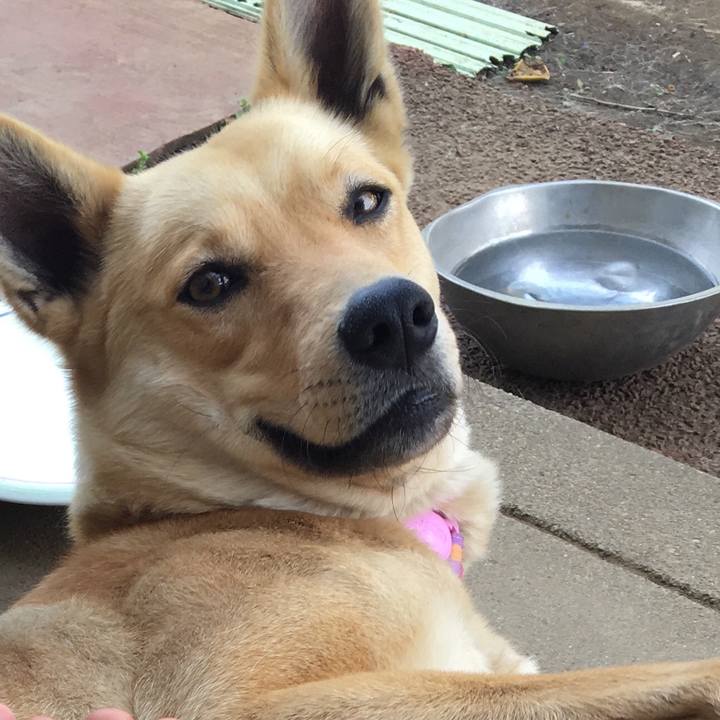 F42016d6 d2c6 4293 9c87 1876d086735c