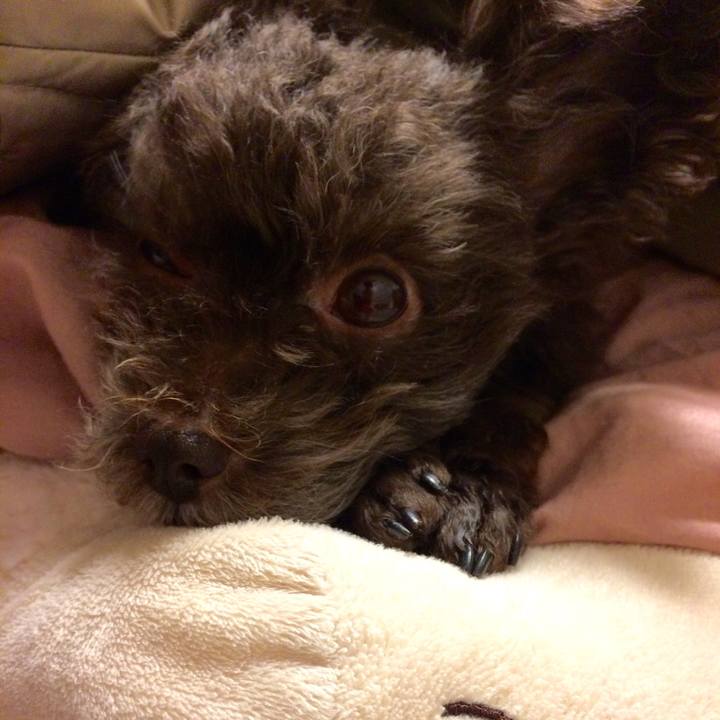 F42091bc 8d70 4614 8425 83c806f11638