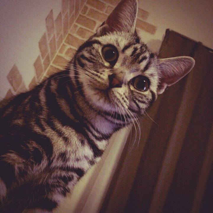 F422d855 4fac 4b54 a882 5d0c592e1ff6