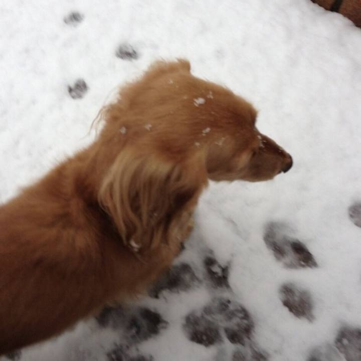 F423d82d 7fa7 4743 8fe2 e55d9ce8f121