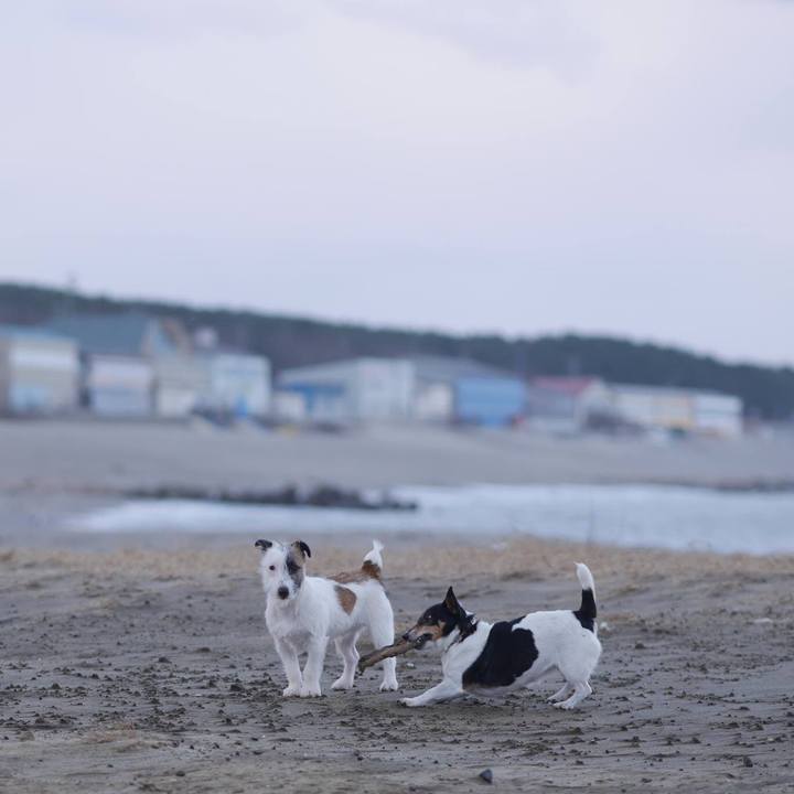 F4242c15 858f 4682 b3a5 ce213b06b825