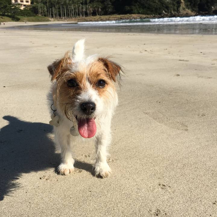 F4246cc2 262c 48fe b08d 67d71080c39b