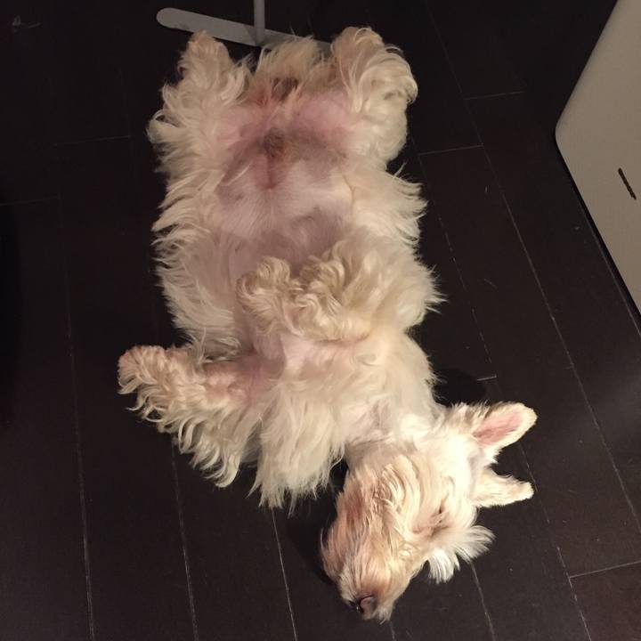 F424de70 2b28 4970 af52 fddf0848706b