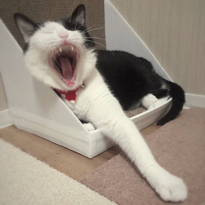 F425d19c 7429 4532 b7e3 c243e73d003f