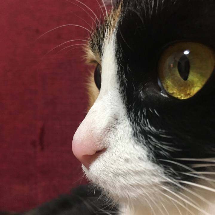 F4266f88 52b7 4335 948f be32e9c39553