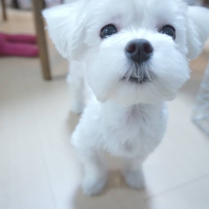 F426a93d db5f 492e b9a9 aeced2320109