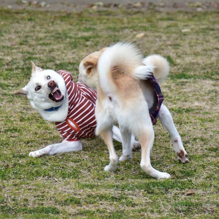 F427c36f 8166 4abd b4c4 eb417a943e9a