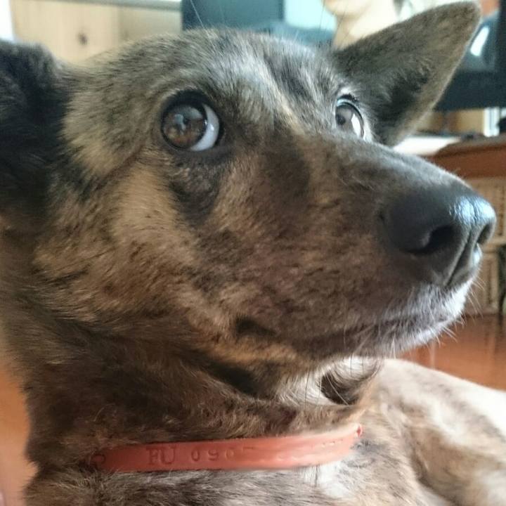 F428055c 6899 49c7 a05f 5c75c426a317