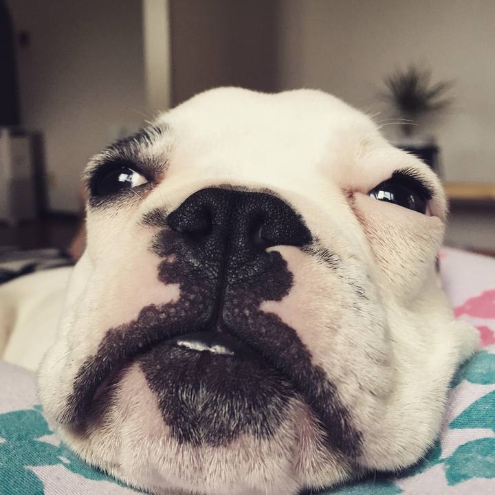 F428a4a9 5f36 4892 ac7b 386bb4c15cdc