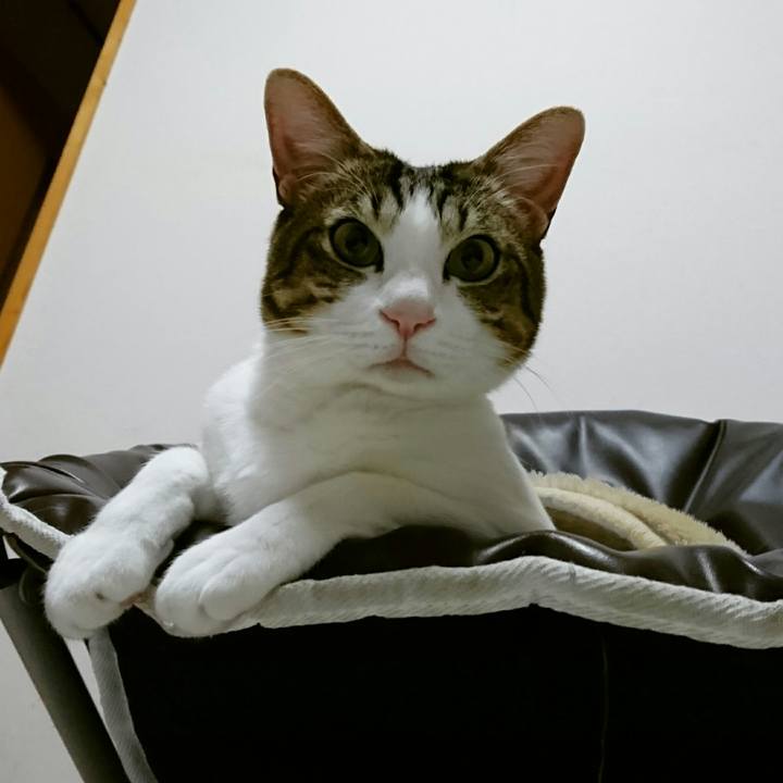 F428a4ed 3fba 4cdb afb4 0a87cd9b2926