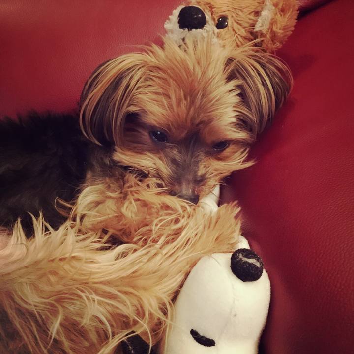 F4293a64 dc81 4243 b04f a1e63cf97d7f