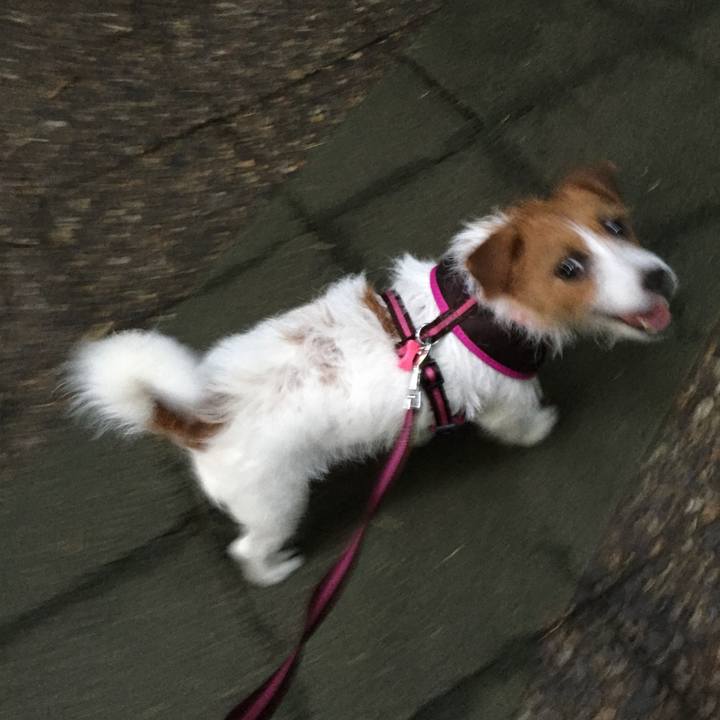 F42978f9 3288 43c8 9d61 9cbe0d36f820