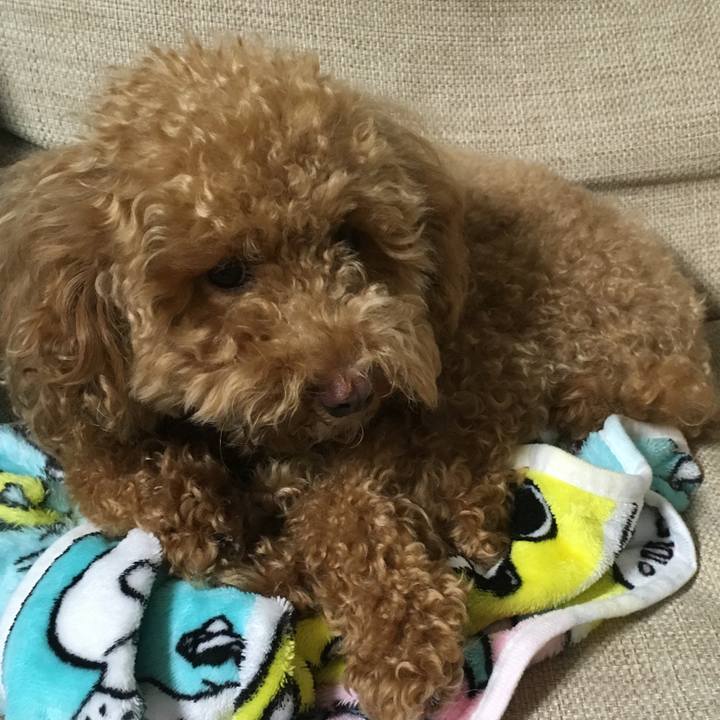 F429caee a421 428e 958f 5f98f0b665ef