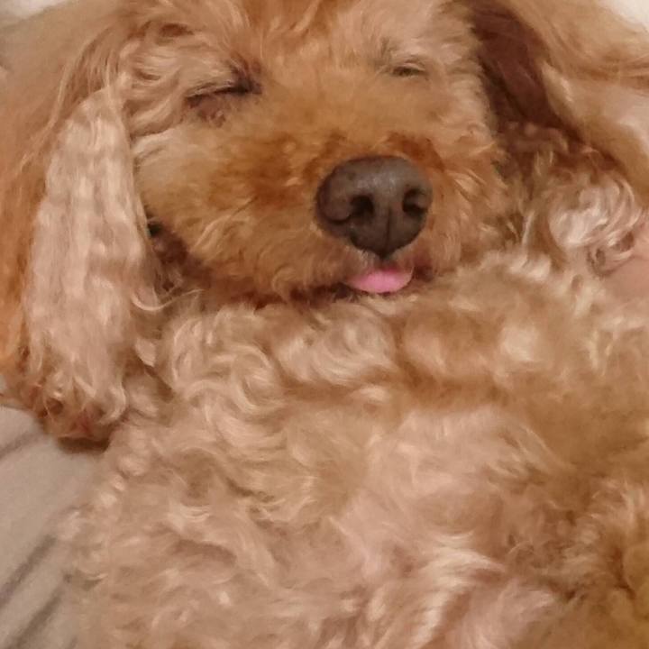 F42a0460 a28a 4fbd 96cc c423df94ed41