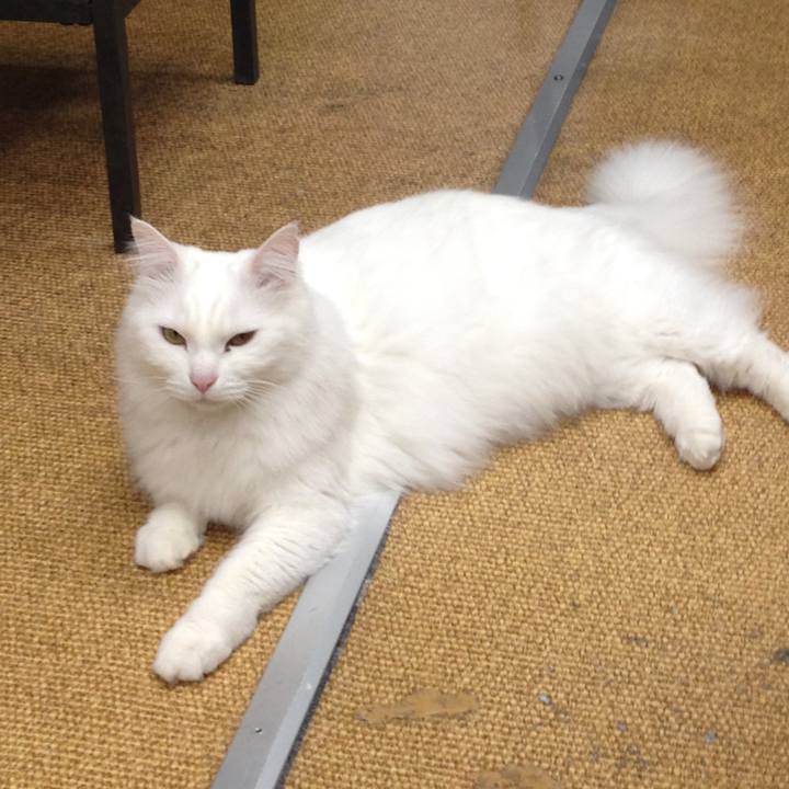 F42a5b80 0764 4e6b b5db b35bd0aa3189