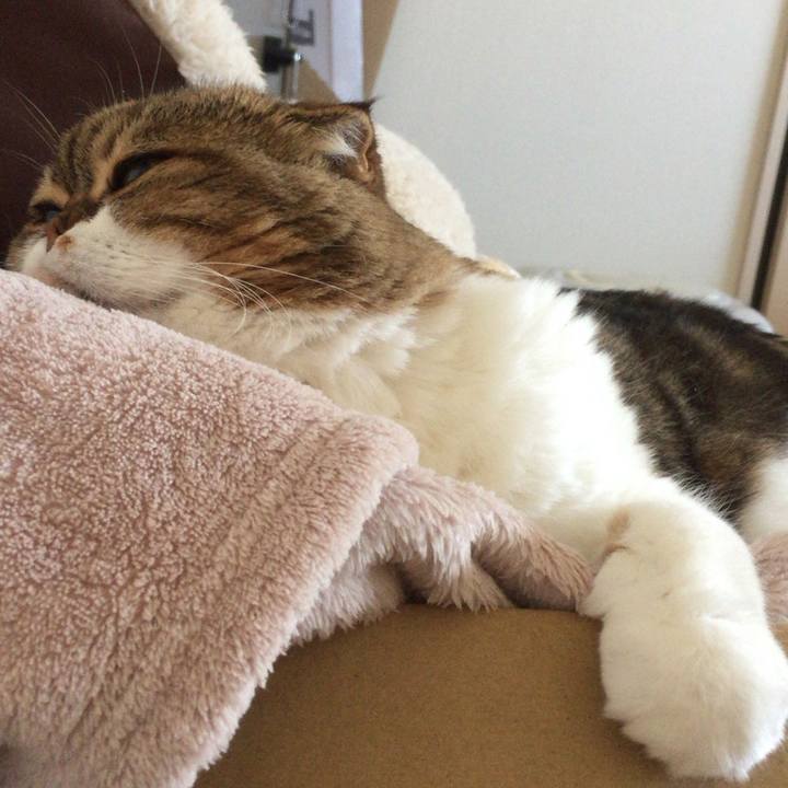 F42b085e a5ec 4cb0 bf49 b238d9e83d82