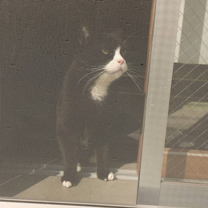 F42b39d5 6cf6 41a1 9341 bd84f53b0fcf