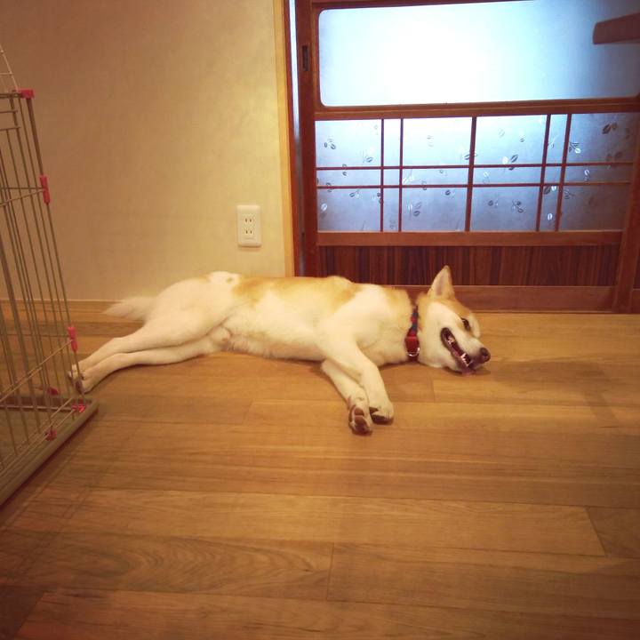 F42beef2 2bd4 46ec 921d a34d2f6654f5