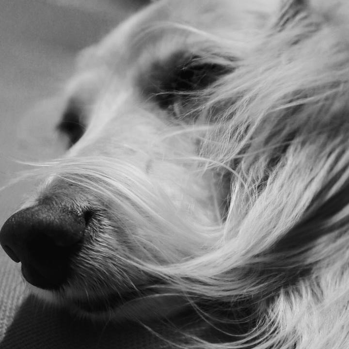 F42e83b3 eaf6 4b74 bf1a 7cc652734c10