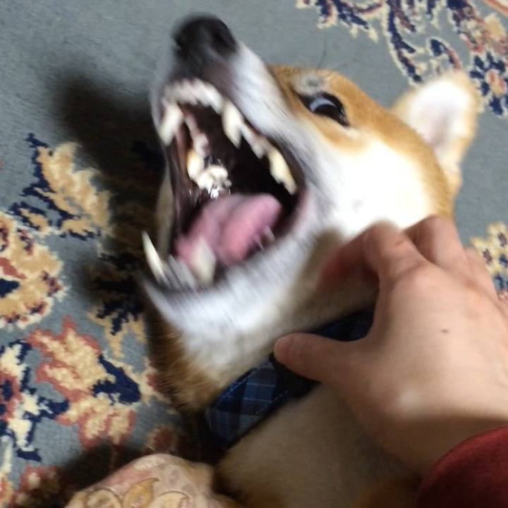 F42e9683 b9f0 4628 b28d 263c10464a1f