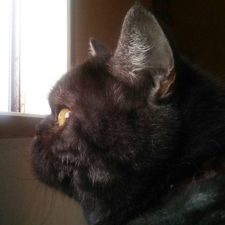 F42f3ded 6d96 4bb7 9d3e 06b2bd1c92bb