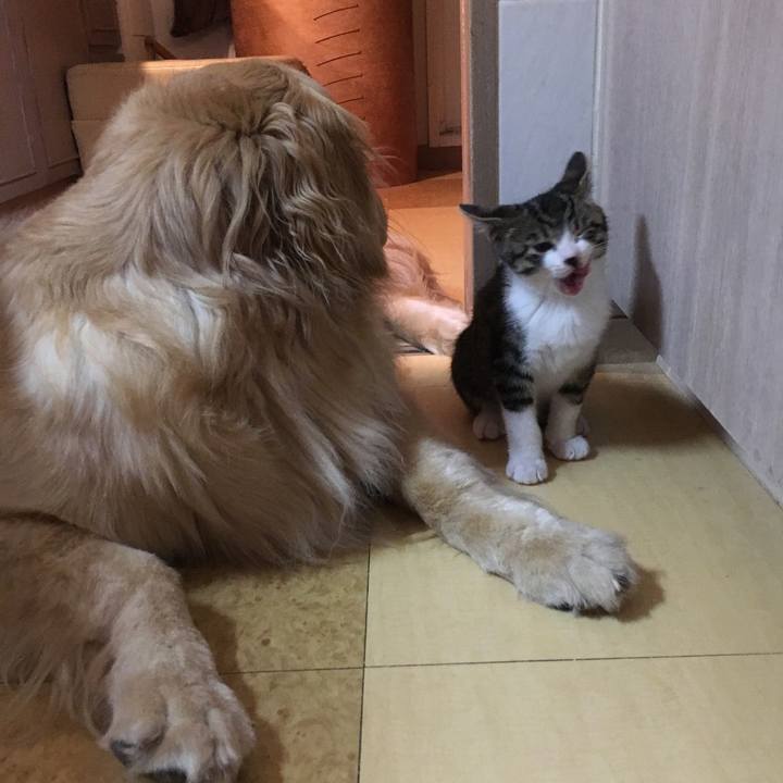 F42f9741 d3e1 46c4 b4bf 0884a93066dc