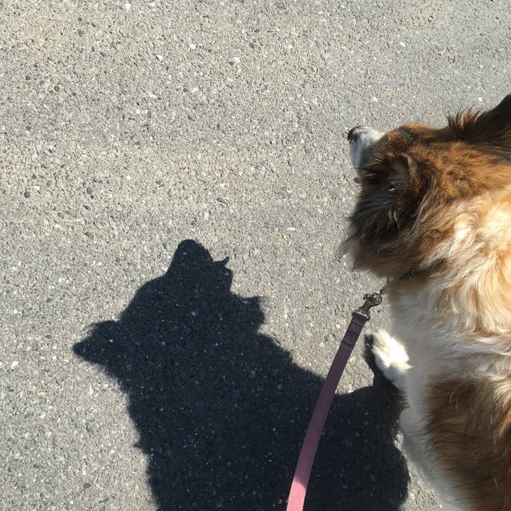 F42fd04b cba4 4ea8 a2be 0f8e95b0cd1b