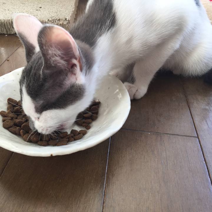 F42ff0ad 20f7 4ac5 a796 c0bce42dbf1c