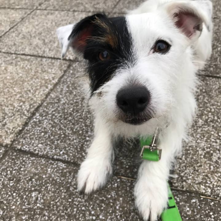 F42ff43a 4835 4987 87ac 3c53af5fc552