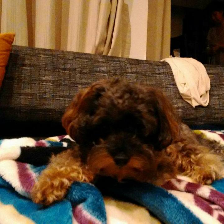 F430a56c 3f57 483b abf5 cdae5774d394