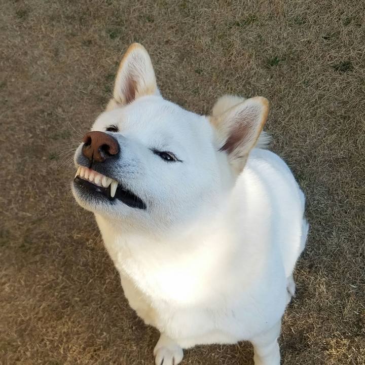 F430cdb3 d97a 4081 90bd bfc5862b8e40