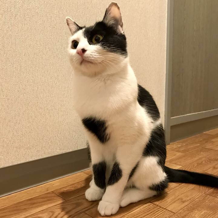 F430ed51 f9ba 43a3 93b8 9288238730ce