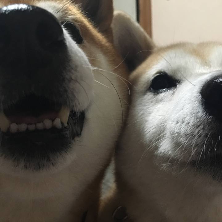 F43379a8 6677 4eb0 b4c6 7e8a7c649449