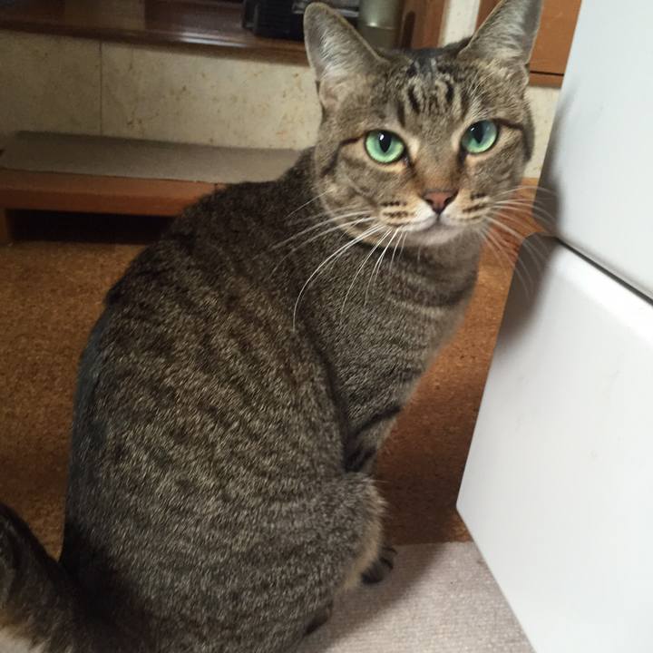 F433ad69 b258 4db6 a6bb e205a1a14b9f